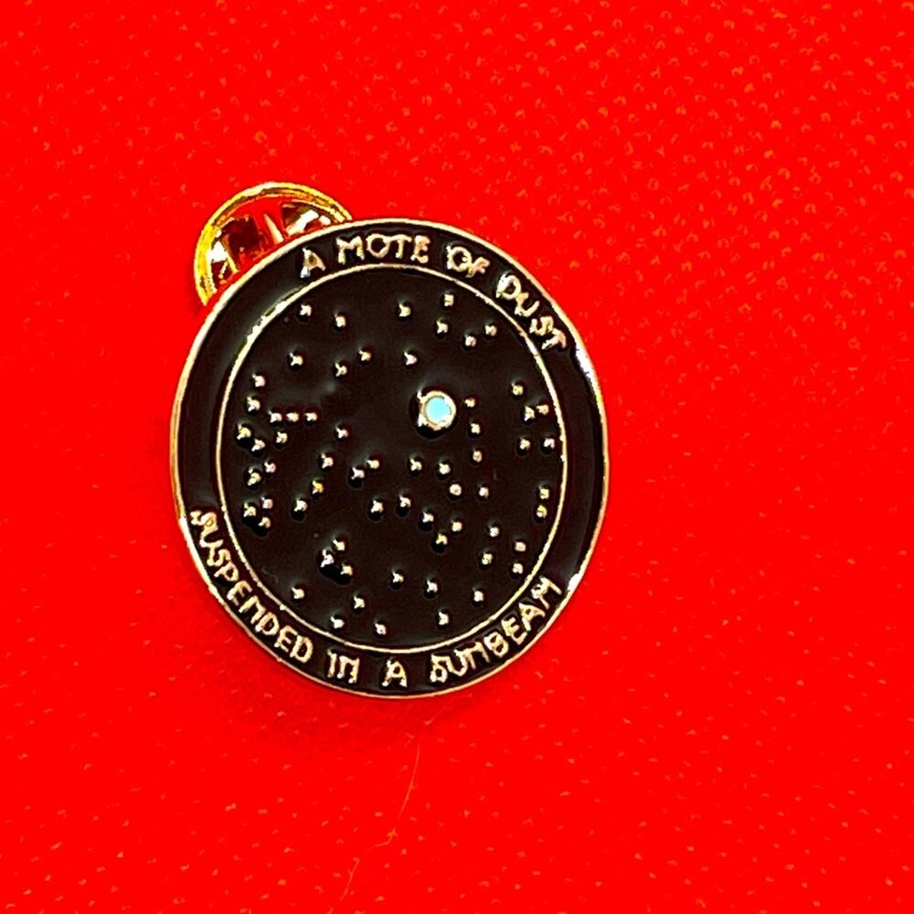 Note of Dust Suspended in a Sunbeam Pin Brooch